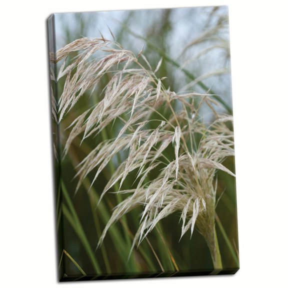 Gango Home Decor Native Grass I by Erin Berzel (Ready to Hang); One 24x36in Hand-Stretched Canvas