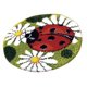 thumbnail image 3 of 2 paquetes Kit de ganchos de pestillo para bricolaje Alfombra Kits de enganche de pestillo de mariquita para principiantes - Mariquita Soledad Kits de enganche de enganches de alfombras, 3 of 8