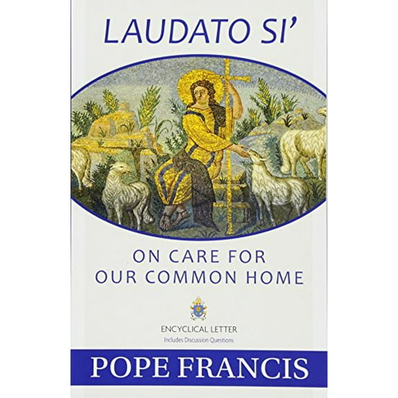 Pre-Owned Laudato Si': On Care for Our Common Home, 9781612783864, 1612783864, Paperback,