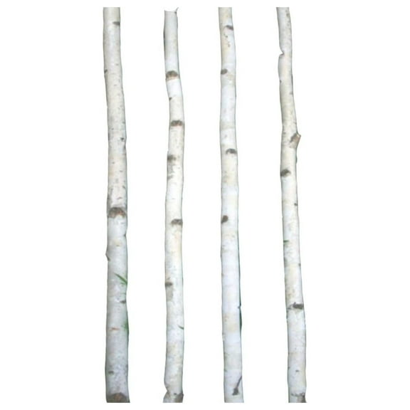 Four Thin White Birch Poles 4 ft