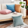 thumbnail image 4 of Taibuwu Set of 2 Dusty Solid Velvet Throw Pillow Covers, Cozy Soft Accent Pillow Cases for Sofa Couch Bed and Living Room - 20"x20", 4 of 8