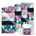 thumbnail image 1 of Scotties Supreme 3 Ply Soft & Strong Facial Tissue, Hypoallergenic and Dermatologist Tested, 24 Boxes, 81 Tissues per Box, 1 of 5