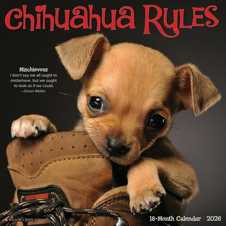 Chihuahua Rules 2026 12 X 12 Wall Calendar, (Hardcover)