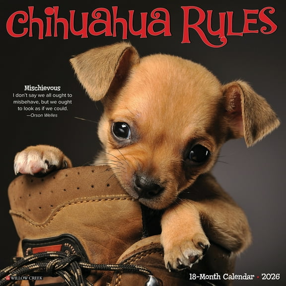 Chihuahua Rules 2026 12 X 12 Wall Calendar, (Hardcover)