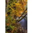 thumbnail image 2 of Haney, Chuck 11x14 Gold Ornate Wood Framed with Double Matting Museum Art Print Titled - Colorful autumn maples along Humbug Creek in Clatsop County-Oregon-USA, 2 of 4