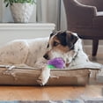 thumbnail image 4 of YaoZQ Squeaky Dog Ball, High Bounce TPR Chew Toy, Interactive Fetch Toy for Small Medium Dogs, Dental Cleaning, 2.55 inch, Random Color (1 pack), 4 of 8