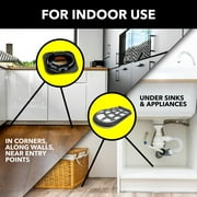 Raid Double Control Indoor and Outdoor Insect Killer, Small Roach Baits, 15 Count