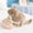 stuffed animals, variant on Cute Simulation Chinchilla Plush Toy Stuffed Animal Doll Soft Plushie For Teens & Decor Gift