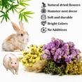 thumbnail image 3 of Ropa de cama para hámster Habitat Decor Sukh, 42 unidades, hierbas con flores naturales, 3 of 7