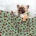 thumbnail image 3 of Pofeuu Ladybugs 3 Print Puppy Blanket,Dog Blankets,Pet Blanket Cozy Cat Blankets for Indoor Cats, Fuzzy Pet Blanket for Kitten Doggy Dog Blankets-Small, 3 of 8