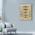 thumbnail image 3 of Trademark Fine Art 'Pisces Composition I' Canvas Art by Vision Studio, 3 of 4
