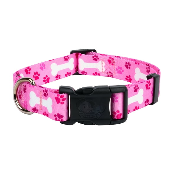 Country Brook Petz® Deluxe Pink Oh My Dog Dog Collar - Made in the U.S.A., Extra Small