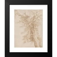 thumbnail image 2 of Jacob de Gheyn II 19x24 Black Modern Framed Museum Art Print Titled - Study of a Tree (16th Century), 2 of 5