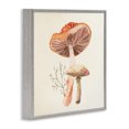 thumbnail image 2 of Stupell Industries Farmhouse Forest Botanical Woodland Plants Gray Framed Giclee Art, 12 x 12, by Lucca Sheppard, 2 of 7