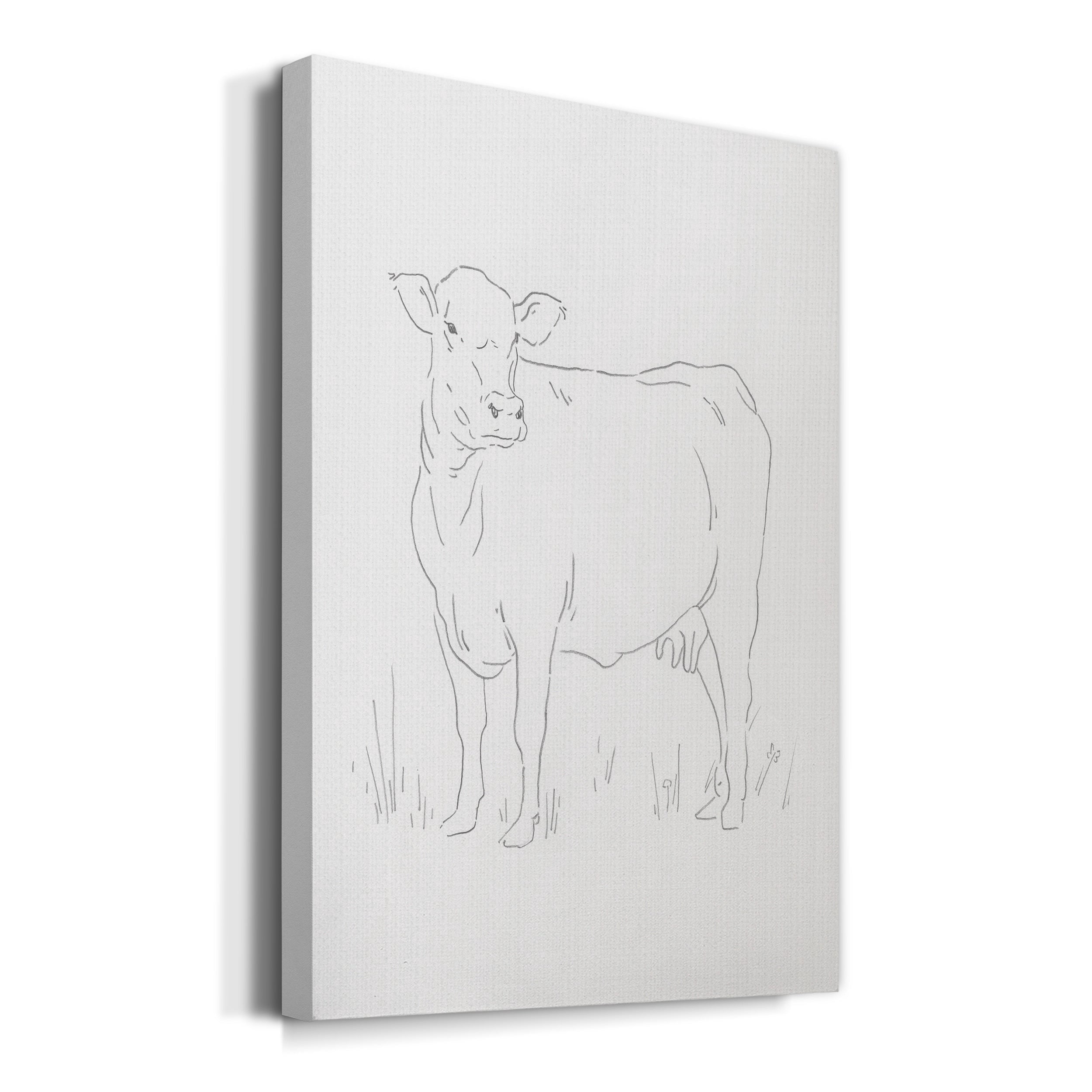 Limousin Cattle II Premium Gallery Wrapped Canvas - Ready to Hang