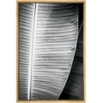 thumbnail image 3 of PixonSign Framed Canvas Print Wall Art Detailed Banana Leaf Botanical Wilderness Photography Realism Minimalist Relax/Calm Duotone Black and White for Living Room, Bedroom, Office - 24"x36" Natural, 3 of 5