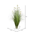 thumbnail image 2 of Vickerman 60" Artificial Potted Green Grass and Daisies., 2 of 5