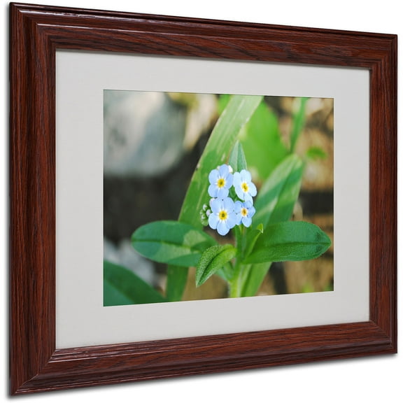 Trademark Fine Art "Dignified Characteristic" by Monica Fleet, Wood Frame