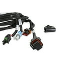 thumbnail image 2 of Holley EFI 558-481 T-56 Magnum Transmission Harness, 2 of 4