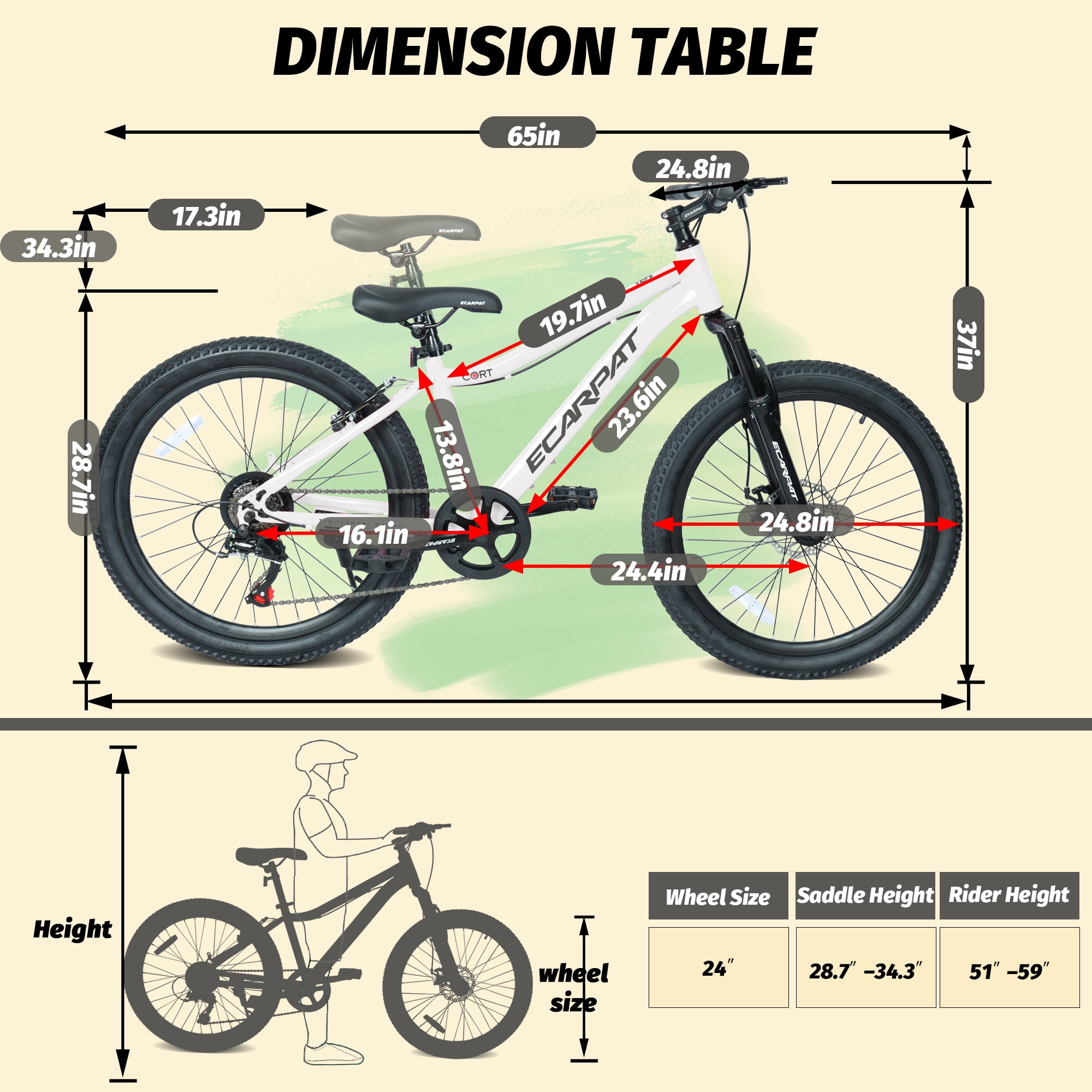 24 Inch  Mountain Bike with 7 Speeds & Front Suspension Durable Steel Frame, Alloy Rims & Disc Brakes For Men and Women in White Colors