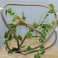 thumbnail image 1 of Enredaderas y hojas flexibles para reptiles 8FT Coolrunner, 1 of 7