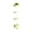 Green, variant on 3-Layer Transparent Doll Storage Bucket for Kids Toys, Multi Tier Toy Organizer Bin for Stuffed Animals Plushies, Green