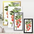 thumbnail image 4 of Designart 'A Red Physalis Branch' Traditional Framed Art Print, 4 of 4