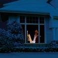 thumbnail image 5 of Virtual Santa in Window Christmas Digital Decoration DVD, 5 of 5