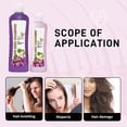 thumbnail image 4 of Shampoo For Hair Dryness Hydrates Smoothes Improves Frizz Grape Shampoo 450+248ml Set, 4 of 8