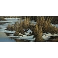 thumbnail image 2 of Goebel, Wilhelm 24x13 White Modern Wood Framed Museum Art Print Titled - Snipe Flight, 2 of 4