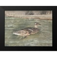 thumbnail image 2 of Lewis, Sheldon 18x15 Black Modern Framed Museum Art Print Titled - Water Duck, 2 of 5