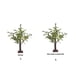 thumbnail image 3 of Advancent Luz nocturna fácil de usar, luz que cuida los ojos, larga vida útil, lámpara de árbol bonsái, lámpara de árbol LED, elegante, Type3 NO3, 3 of 6