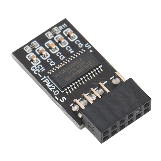 ANGGREK TPM 2.0 Module de Sécurité de Cryptage pour GIGABYTE 12Pin LPC Interface Haute Sécurité Module de Sécurité de Cryptage de Carte à Distance,TPM 2.0 Module de Sécurité de Cryptage de Carte à Distance,TPM Module