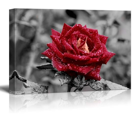 Wall26 Canvas Prints Wall Art - Red Rose on Grey | Modern Wall Decor/Home Decoration Stretched Gallery Canvas Wrap Giclee Print. Ready to Hang - 32" x 48"