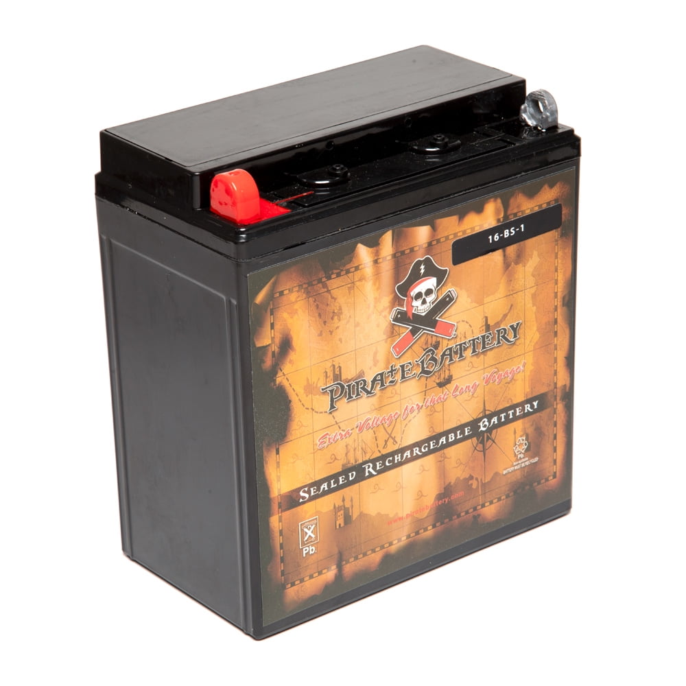 Ytx16bs1 Motorcycle Battery For Suzuki 1400cc Vs1400gl Intruder Glp