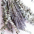 Wyzesi Artificial Greenery Filler Dried Preserved Stems & Lavender