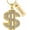 Customize, variant on Cremation Jewelry Dollar Sign Big Money Necklaces Hip Hop Dollar Urn Necklace for Ashes for Men Women Stainless Steel Memorial Keepsake Urn Pendant