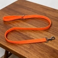 thumbnail image 1 of Heavy Duty Nylon Leash With Padded Handle Strong Metal Training High Visibility Walking Rope For Small Medium & Large Dogs Ideal For Daily Walks & Outdoor Activit, 1 of 6