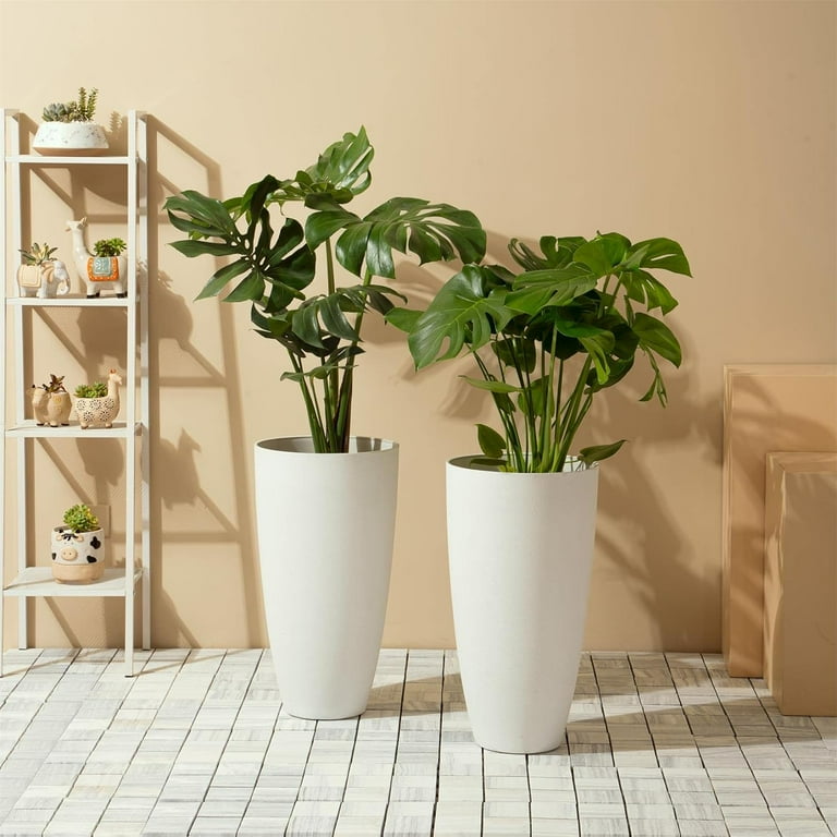 plant pots for window sills Windowsill Plant Trays main image 1
