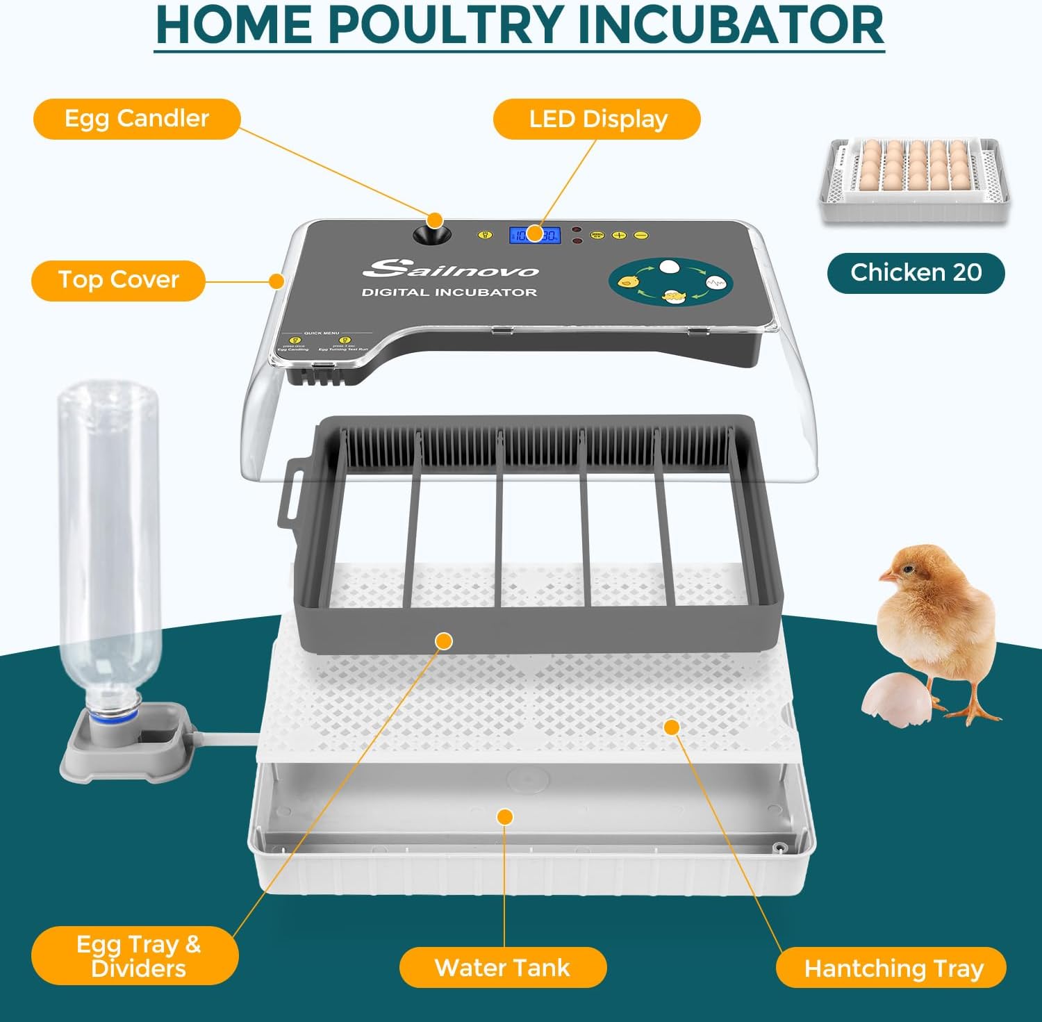 Adnoom Egg Incubator, 15 Eggs Automatic Incubator with Temperature Control and Automatic Egg Turning Function for Hatching Chickens, Ducks, Quails, and Birds, the Best Choice for Children's Gifts