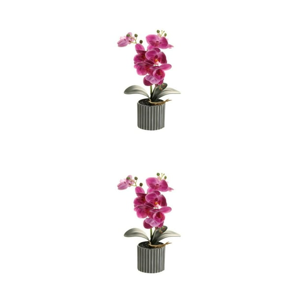Matsuzay Flor de orquídea artificial Bonsai con maceta Phalaenopsis en maceta Inicio Type1 NO1