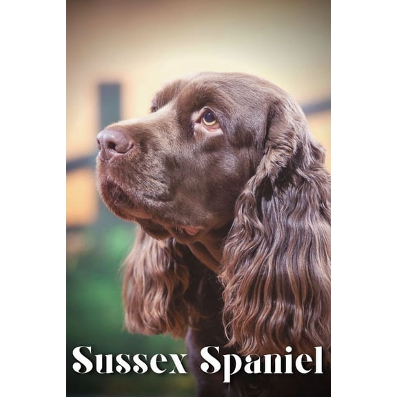 Sussex Spaniel: Dog breed overview and guide, (Paperback)