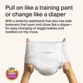 thumbnail image 2 of Pantalones de entrenamiento Coterie The Pant talla 6 hipoalergénicos 92 unidades, 2 of 9