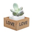 thumbnail image 2 of Caja de madera suculenta, caja cuadrada de madera para plantas suculentas, caja de flores suculentas, caja para macetas, materiales ecológicos, 2 of 8