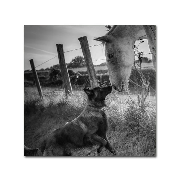 Trademark Fine Art 'Friend'S Kiss' Canvas Art by Christophe