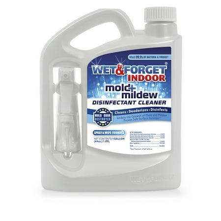 Wet and Forget Indoor Mold Mildew Disinfectant Cleaner, 64 (Best Way To Clean Mould Off Painted Walls)