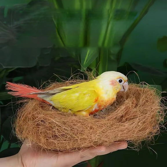1.8oz / 0.11lb Prevue Pet Products Sterilized Natural Coconut Fiber Bird Nest