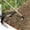 black_Base#19986, variant on Cyber_Monday Deals! Byikun Outdoor Agricultural Tools Forging Weeding Hoe For Planting Vegetables Flower Hoes