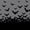Gray Black, variant on Manfei Spooky Flying Bat Twin Sheets 3pcs, Halloween Theme Bedding, Blue Black,1 Fitted Sheet, 1 Flat Sheet and 1 Pillowcase