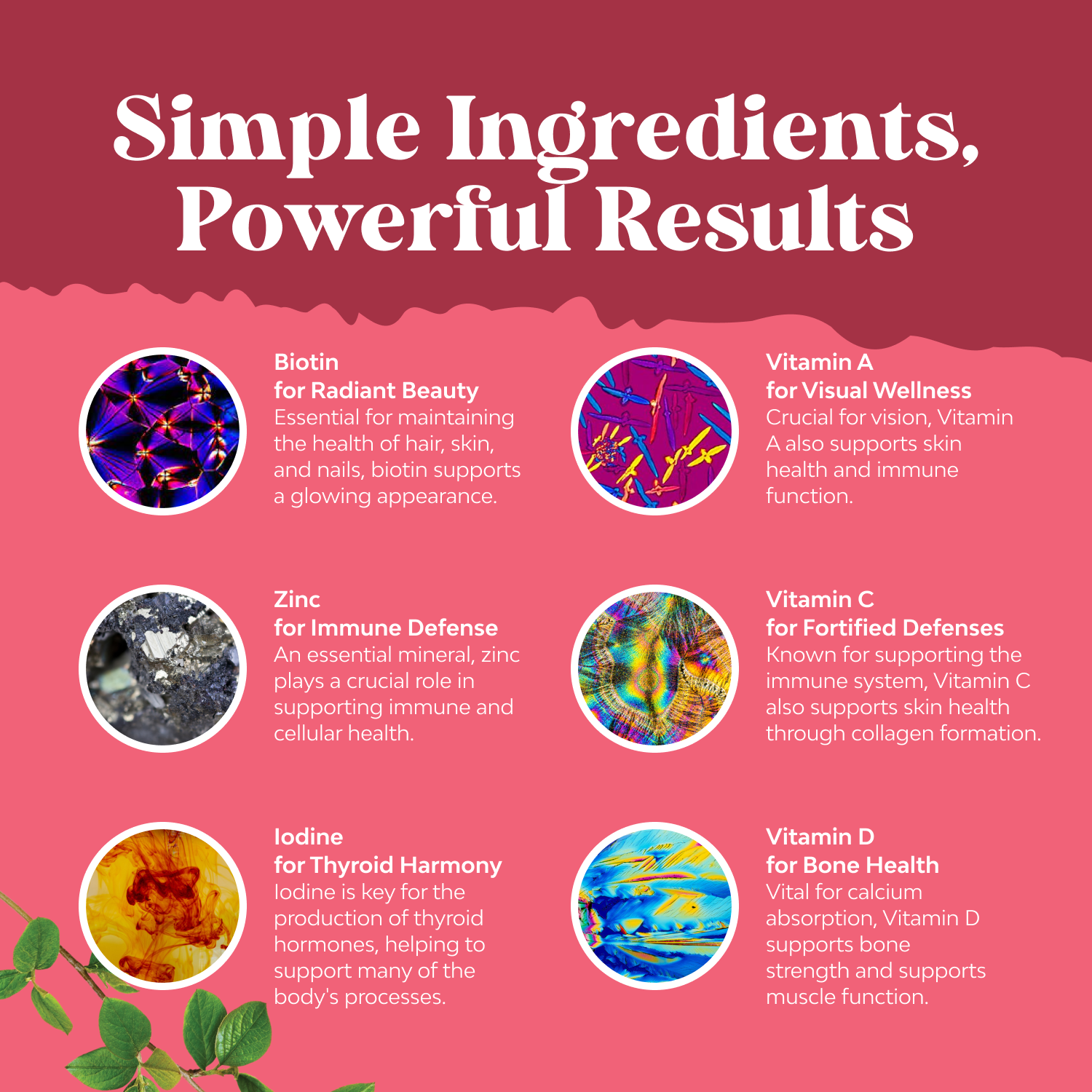 Natures Craft Daily Multivitamin Gummies, Immune Support Supplement for Women, 90 Count